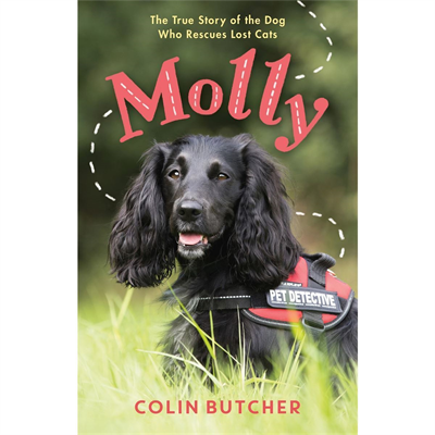 Molly: Dog Who Rescues Lost Cats